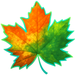 Autumn Maple Leaf